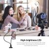 4'' LED Selfie Ring Lights Kit with Tripod Stand Clip On Laptop Light with 3 Light Modes & 10 Brightness Level for Live Stream/Makeup/Photography/Online Meeting Compatible with Cell Phone view 4