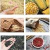 Jieotwice LDS-1G Grain Moisture Tester Grain Moisture Meter Water Content Analyzer High Precision with Capacity for Coffee Bean Soybean Cocoa Bean Almonds Peanut Sesame Moisture Testing view 4