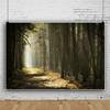 10x8FT Mysterious Forest Scenic Photo Backdrop Enchanted Forest Jungle Woodland Sunlight Sunrise Nature Landscape Background Woods Pathway Rainforest Wonderland Trees Adventure Photo Studio Props view 2