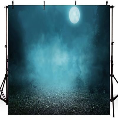 12x10FT Fantasy Winter Night Snowflake Backdrop Winter Wonderland Photography Background Rustic Night View Forest Trees Fairy Tale Winter Christmas Photo Studio Props