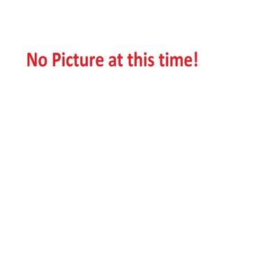 Powerboss 3315385 BRUSH