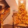 JMEXSUSS Connectable 33ft Orange Christmas Lights Indoor, 100 LED Orange String Lights Clear Wire, 8 Modes Outdoor Christmas Twinkle Light Plug in for Tree Party Decoration view 2