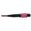 Tripp Lite Multimode Fiber Patch Cable, 50/125 OM4 MPO to MPO (F/F), 12 Fiber, Magenta, LSZH Jacket, 2 Meters / 6.6 Feet, Lifetime Limited Manufacturer's Warranty (N845B-02M-12-MG) view 4