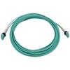 Tripp Lite Switchable Fiber Cable, 400G Duplex Multimode 50/125 OM4 (LC Duplex-PC/LC Duplex-PC), Round LSZH Jacket Aqua, 10 Meters / 32.8 Feet, Lifetime Limited Manufacturer's Warranty (N820X-10M-OM4) view 2