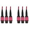 Tripp Lite Multimode Fiber Optic Cable, 50/125 OM4 MTP/MPO (3xF/3xF), 24-Strand, 40/100/400GbE, LSZH Jacket, Magenta, 45 Meters / 147.6 Feet, Lifetime Limited Manufacturer's Warranty (N858B-45M-3X8MG) view 1