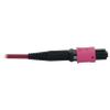 Tripp Lite Multimode Fiber Optic Cable, 50/125 OM4 MTP/MPO (3xF/3xF), 24-Strand, 40/100/400GbE, LSZH Jacket, Magenta, 45 Meters / 147.6 Feet, Lifetime Limited Manufacturer's Warranty (N858B-45M-3X8MG) view 4