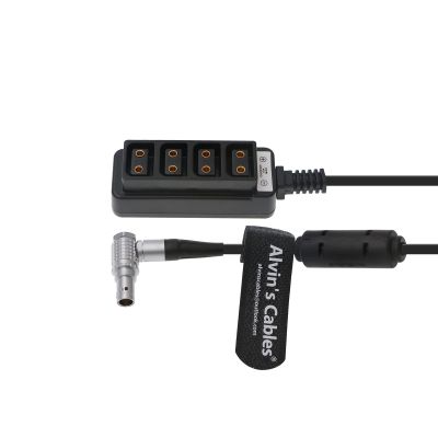2-Pin to 4 D-Tap Female Breakout-Splitter Power-Cable with Regular for Phantom-Flex4K|ARRI RED DSMC2 Jetpack|RTmotion Sidekick 2Pin Male to 4-Port Dtap 12V Output Avin's Cables