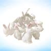 ABOOFAN String Easter Rabbit Lights Easter Electric Lights Led Rabbit Party Ornament Led Bunny White Outdoor Animal view 4