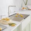 Blanco, 238483, Precis 18-1/8" L x 17-5/16" W Basin Rack, Stainless Steel view 2