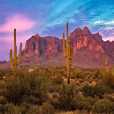 BELECO 9x6ft Fabric Arizona Desert Backdrop for Photography Western Party Decor Blue Sky Sand Dunes Prickly Cactus Saguaro Wilderness Mountain Background Cowboys Children Adult Portrait Photo Shoot