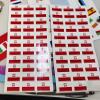 SAFIRMES POLOGNE 30 Countries in Europe Stickers 20 x 30 mm Vinyl view 2