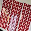 SAFIRMES Swiss 30 Countries in Europe Stickers 20 x 30 mm Vinyl view 2