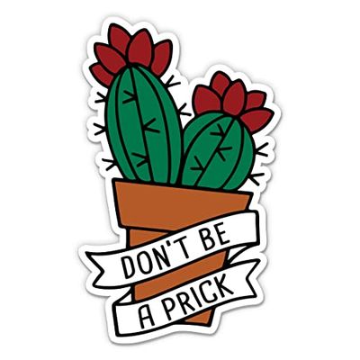 Don't Be a Prick Funny Cactus Sticker - 5" Laptop Sticker - Waterproof Vinyl for Car, Phone, Water Bottle - Funny Cactus Joke Decal