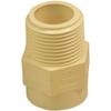 KBI ADAPTR CPVC 3/4" ML 10PK view 1