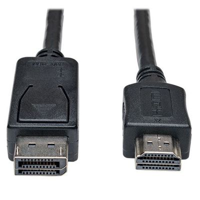 10ft Displayport Hd CBL Adptr