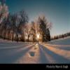 TOKINA SZ 8mm F2.8 Fisheye MF- Sony E-Mount view 4