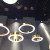 Machine Luxurious LED Chandeliers Round-Shaped Combination Compatible with Office Hotel Lobby Restaurant Parlor Club Home Light Fixtures (Color : Dia30cm, Size : Rose Gold) view 3