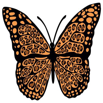 Butterfly with Leopard Print Creative Artwork Design for Kid's Bedroom Vinyl Wall Decal - Little Cute Bug Silhouette Art Design for Nursery Room Wall Decoration - 20" x 14"