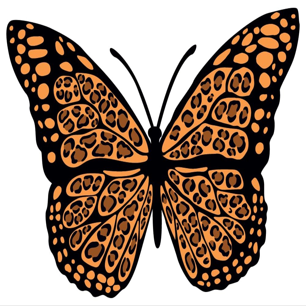 Butterfly with Leopard Print Creative Artwork Design for Kid's Bedroom Vinyl Wall Decal - Little Cute Bug Silhouette Art Design for Nursery Room Wall Decoration - 20" x 14"