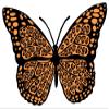Butterfly with Leopard Print Creative Artwork Design for Kid's Bedroom Vinyl Wall Decal - Little Cute Bug Silhouette Art Design for Nursery Room Wall Decoration - 20" x 14" view 1