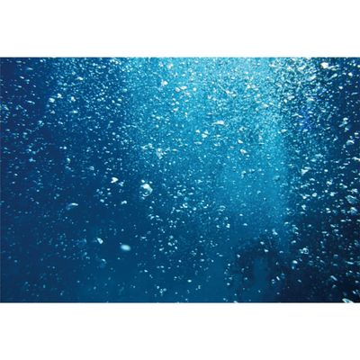 Leyiyi 10x6.5ft Photography Background Underwater World Backdrop Ocean Diving Seaside Holiday Summer Party Bubble Sunlight Honeymoon Travel Royal Hawaiian Luau Hula Party Photo Portrait Studio Prop