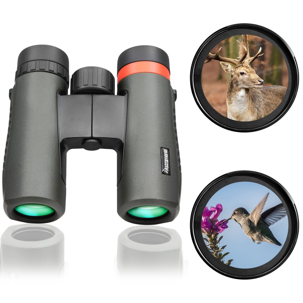 Astromania 10x26 Waterproof Compact Binoculars for Traveling, Wildlife, Camping and Sport Games, Theater and Concerts, Bird Watching