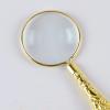 ZTBH Microscope Accessories Kit 5X Carved Magnifier Handheld Magnifier Reading Magnifying Glass Lens Microscope Slides (Color : Gold) view 3