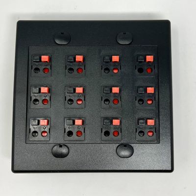 RiteAV 12 Port Speaker Jack Dual Gang Wall Plate for Home Theater - Black
