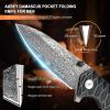 AUBEY Damascus Pocket Knife for Men, Forged 2.95" VG10 Damascus Steel Folding Knife with Sheath, Rain-drop Blade, Stainless Steel Handle, EDC Knife for Camping view 2