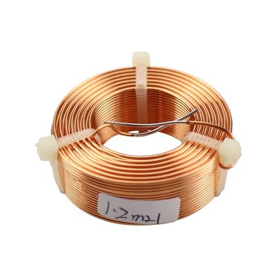 JINGERL 0.8mm Speaker Crossover Inductance Copper Coil Oxygen Free Copper Inductor HiFi Audio Accessories 0.2mH 0.8mH 1.2mH 1Pcs (Color : 1.2mH)