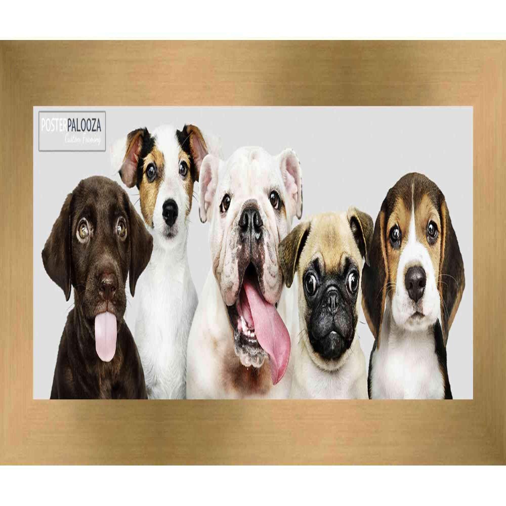 Poster Palooza 13.5x40 Contemporary Bronze Complete Wood Panoramic Frame with UV Acrylic Plexiglass, Foam Board Backing & Hardware Included