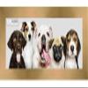 Poster Palooza 13.5x40 Contemporary Bronze Complete Wood Panoramic Frame with UV Acrylic Plexiglass, Foam Board Backing & Hardware Included view 1
