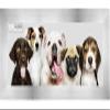 Poster Palooza 10x32 Contemporary Pewter Complete Wood Panoramic Frame with UV Acrylic Plexiglass, Foam Board Backing & Hardware Included view 1