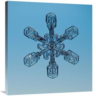 30 x 30 in. Snowflake Seen Through Microscope Art Print - Steve Gettle