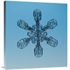 30 x 30 in. Snowflake Seen Through Microscope Art Print - Steve Gettle view 1