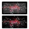 Decalrus - Protective Decal Skin Sticker for The DIGILAND DL1036 (10.1" Screen) Tablet Cover wrap DL_dl1036-190 view 1
