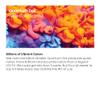 Hisense ULED 4K Premium 50U6G1 Quantum Dot QLED Series 50-Inch Smart Google TV, Dolby Vision Atmos, Voice Remote, Compatible with Alexa (2022 Model) view 2