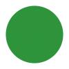 Laeacco Polyester Solid Green Round Backdrop 7.5x7.5ft Pure Green Screen Photo Background Birthday Party Decor Banner Video Conference Children Adults Portrait Photo Studio Shooting Props Headshots view 3