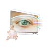KIOP Out Blue Light Anti Glare Anti Scratch Multi-Function Screen Protector for 32~75 Inch Multi-Function Matte TV Monitor Film,40" L886*W498 view 1