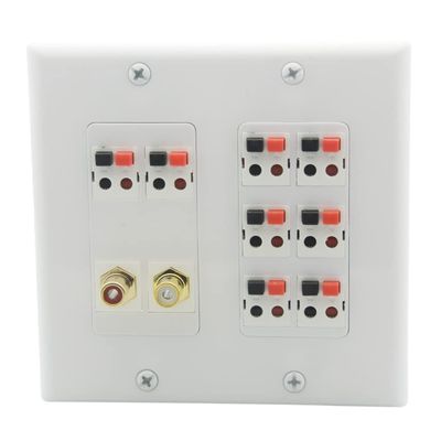 2 Gang Spring Clip Style 8.2 Speaker Wall Plate