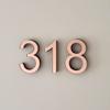7.5cm x 5cm Acrylic House Numbers|Mirrored Red Rose|3D Numbers|Perspex 3D Numbers|Copper Colour (Red Rose Number 0) view 3