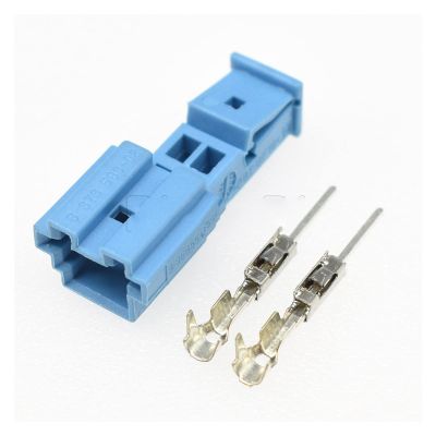 Guangcheng 1/5/10/20 Kits 2 Hole Auto Door Light Socket Audio Tweeter Plug B-14525-1 9-968554-1 9-968554-1A 8-1452577-1A Compatible with BMW (Color : Male Set, Package : 5Sets)