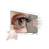 KIOP 50 55 65 75 Inches Anti Glare Matte TV Screen Protector Multi-Function Out Blue Light Film No Bubbles Fingerprints,Protection Eyes,Guard Against Radiation,75" L1645*W930 view 1