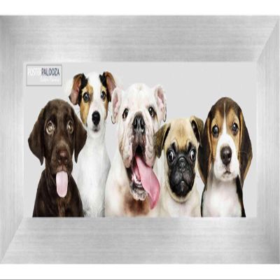 Poster Palooza 10x30 Frame Silver Pewter 1.5 Inch Wide Moulding Solid Wood Panoramic Frame with UV Acrylic Plexiglass, Foam Board Backing & Hardware Included