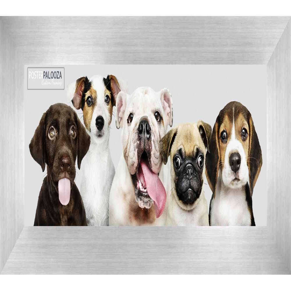 Poster Palooza 10x30 Frame Silver Pewter 1.5 Inch Wide Moulding Solid Wood Panoramic Frame with UV Acrylic Plexiglass, Foam Board Backing & Hardware Included