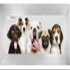 Poster Palooza 10x30 Frame Silver Pewter 1.5 Inch Wide Moulding Solid Wood Panoramic Frame with UV Acrylic Plexiglass, Foam Board Backing & Hardware Included view 1