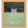 Poster Palooza 36x16 Contemporary Gold Complete Wood Panoramic Frame with UV Acrylic Plexiglass, Foam Board Backing & Hardware Included view 3
