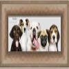 Poster Palooza 24x10 Contemporary Bronze Complete Wood Picture Frame with UV Acrylic Plexiglass, Foam Board Backing & Hardware Included view 1