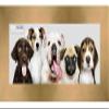 Poster Palooza 40x16 Contemporary Bronze Complete Wood Panoramic Frame with UV Acrylic Plexiglass, Foam Board Backing & Hardware Included view 3