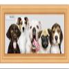 Poster Palooza 40x13.5 Contemporary Gold Complete Wood Panoramic Frame with UV Acrylic Plexiglass, Foam Board Backing & Hardware Included view 3